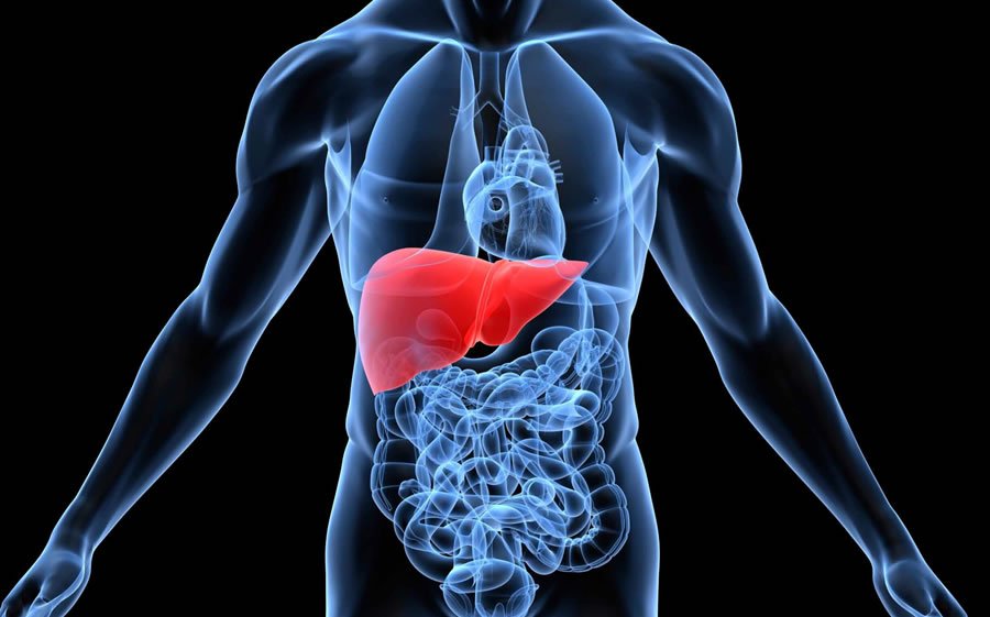 How to Naturally Support Your Liver Health in 2025