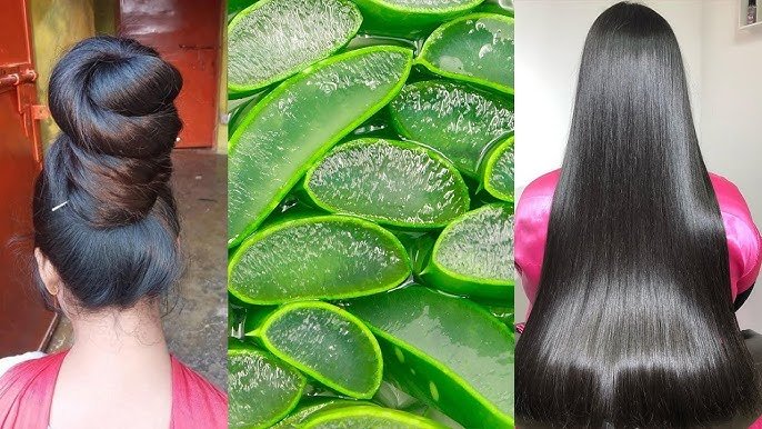 Aloe Vera for Hair Growth Naturally 2025 – Benefits & How to Use