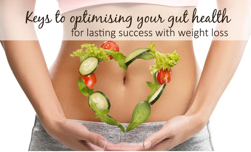 Gut Health and Weight Loss