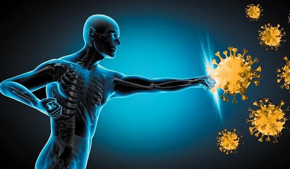 How to Keep Your Immune System Strong Year Round: The Ultimate Science-Backed Guide 2026